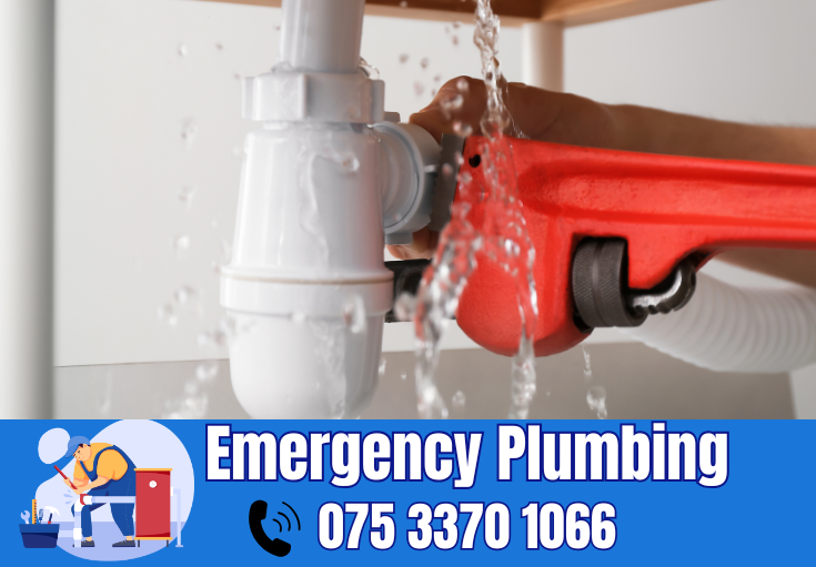  plumber Buckland