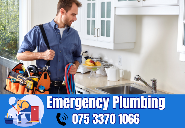  plumber Maxton