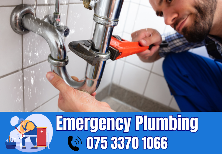  plumber Charlton